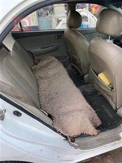BYD G3